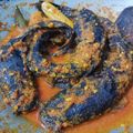 Cooksnap dari Dian Fitriani untuk resep 105. Mangut Lele pedas nikmat
