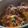 Mommyluvs2cook's cooksnap of when they made Smothered Chicken.