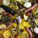 El cooksnap de @tesa.cuina cuando hizo Arroz al horno.