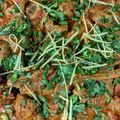 Bushra Jawad's cooksnap of when they made Chicken ginger.