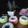 Cooksnap dari Miss Nora untuk resep Putu ayu