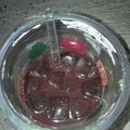 Cooksnap dari Kadek Suantari untuk resep Jus Wortel Jahe Jeruk Nipis (Jus untuk sakit Sinusitis)