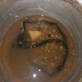 Cooksnap dari Purbo Sukmono untuk resep Bubur Kacang Hijau Metode 5-30-7