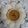 Hetal Siddhpura's cooksnap of when they made સંભાર (Sambhar Recipe In Gujarati).