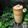 Cooksnap dari Riptina Pawestri untuk resep Honey Cinnamon Iced Coffee