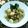 Cooksnap dari Lestari Ika Prastiwi untuk resep Baso Lombok Ijo