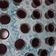 Cooksnap dari Erni Ranz untuk resep Puding Coklat ala KFC