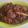 Cooksnap dari wonder girl untuk resep Oseng Paru Pedas