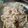 Cooksnap dari deasy puspa untuk resep Fettucini carbonara