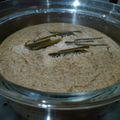 Cooksnap dari Y U N I untuk resep Sarikayo khas Minang (day 4)