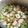 Cooksnap dari zelio valentine untuk resep Sup Sayur