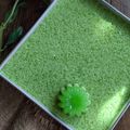 Cooksnap Anur Musa semasa beliau membuat Agar-agar Santan BerLumut.