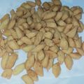 Cooksnap dari Lisnawati Syafitri untuk resep Biji Ketapang (renyah, empuk)