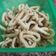 Cooksnap dari Juraida untuk resep Cheetos KW