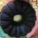 Cooksnap dari Agus Aja untuk resep Bolu kukus ketan hitam