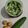 Cooksnap dari Irene MN untuk resep Acar ketimun