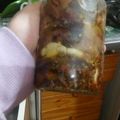 El cooksnap de nati giacchi cuando hizo Conserva de berenjenas rápidas de hacer y de consumir.