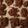 Dustin Peterson's cooksnap of when they made Macaroons.
