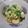 Cooksnap dari Rose Mary Tania untuk resep Tumis pakcoy tofu sehat & simple