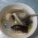 Cooksnap dari nurul huda untuk resep Tekwan palembang