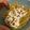 Fernanda Arias's cooksnap of when they made Pasta pesto: burrata.