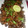 Hina Ibrahim's cooksnap of when they made Black chanamasala.
