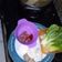Cooksnap dari Risty untuk resep Shabu-shabu simple rumahan