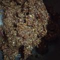 Cooksnap dari Mia untuk resep Sambel pecel