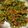 Varsha Ingole Bele's cooksnap of when they made चवळीच्या शेंगांची भाजी(Chavali Shenganchi bhaji recipe in Marathi).