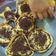Cooksnap dari Dwi Agustina S untuk resep Mᴀʀᴛᴀʙᴀᴋ Mᴀɴɪs Tᴇғʟᴏɴ (ᴄᴏᴋᴇʟᴀᴛ ᴋᴇᴊᴜ sᴜsᴜ)