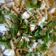 El cooksnap de Nazaret Arellano Pérez cuando hizo Ensalada de pasta.