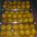 Cooksnap dari Kenti Mundi untuk resep Nastar Lumer Kinclong