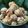 Cooksnap dari Sartini untuk resep Onde-onde Ketawa