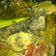 Cooksnap dari Rani Rachmani untuk resep Tongkol Pedas Bumbu Kuning