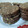 El cooksnap de caro cuando hizo Galletitas de avena coco y chocolate.