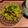 Varsha Ingole Bele's cooksnap of when they made कोबीची चणा डाळ घालून भाजी (Kobichi chana dal bhaji recipe in marathi).