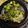 Todd Bata's cooksnap of when they made Oven Baked Bone-In Pork Chops.