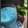 Cooksnap dari ati dewanthi untuk resep Blue Saphire Ice