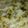 Rhoenix's cooksnap of when they made Skye's Spinach Parmesan Rice.