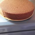 Cooksnap dari Fipit Efendy Suittela untuk resep Bolu Singkong Karamel