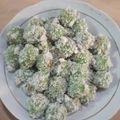 Cooksnap dari Dapoer Ny. A untuk resep KLEPON (no Kapur sirih)