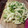 El cooksnap de Rico Sabor cuando hizo Fettuccine alfredo con pollo y Brócoli.