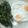 El cooksnap de Cuqui Bastida cuando hizo Huevos fritos con pimientos de padron.
