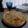 El cooksnap de italo bottarelli lopez cuando hizo Pascualina de acelgas.