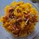 pinky makhija का कुकस्नैप जब उन्होंने मीठे पुलाव/जर्दा पुलाव (meethe pulao / zarda pulao recipe in Hindi) बनाया था।