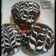 Cooksnap dari Nanda RaFa untuk resep Donat dengan Water Roux