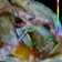 HALIMA MU'AZU aka Ummeetah's cooksnap of when they made Simple shawarma.