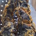 Cooksnap dari Bunda nanung untuk resep Lele Goreng Crispy