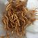 Cooksnap dari Novie Mahdayani untuk resep Jamur Enoki Crispy