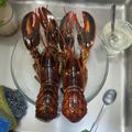 El cooksnap de Antonio Vilaplana Mico cuando hizo Arroz caldoso con bogavante.